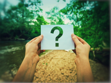 animation secondaires 3